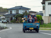 Searchlight Pictures lanza el tráiler de Familia en Renta, protagonizada por Brendan Fraser