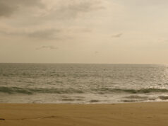 20th Century Studios lanza el primer tráiler de “¡Ayuda!”, el nuevo thriller de Sam Raimi